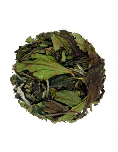 Té Blanco Pai Mu Tan Orgánico A Granel | Téagarimo